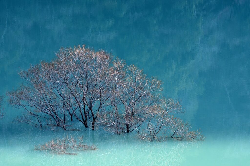 pros and cons of weight training fntkgym