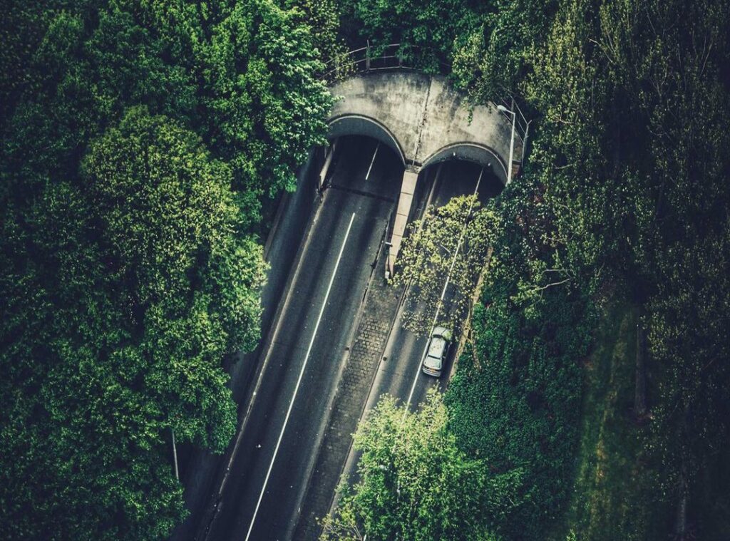 andreea bostanica goala