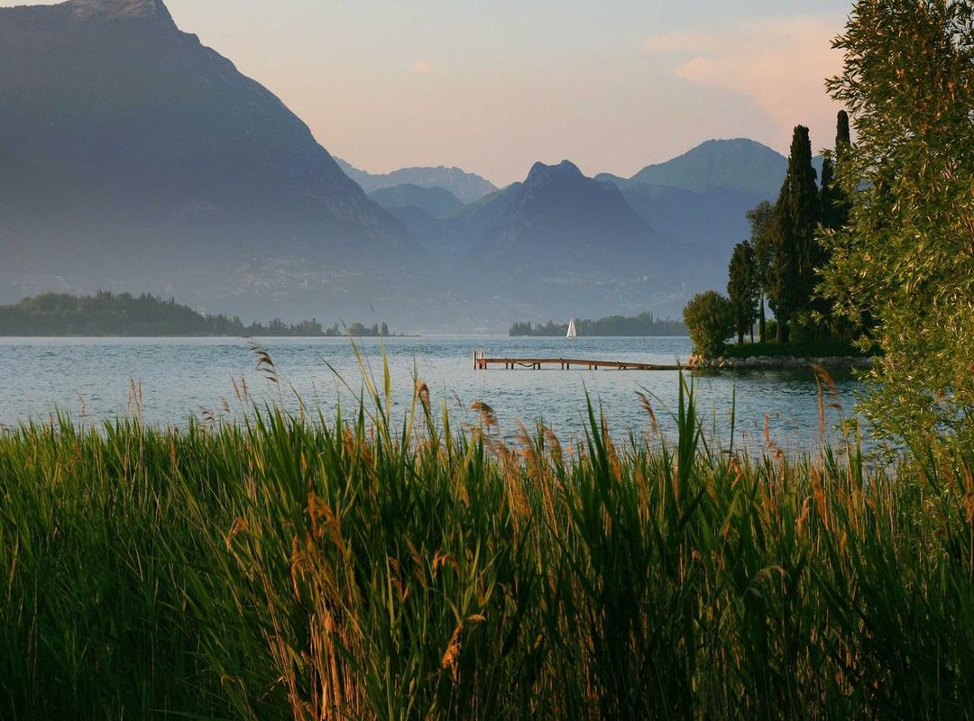 Frequently Asked Questions (FAQs)