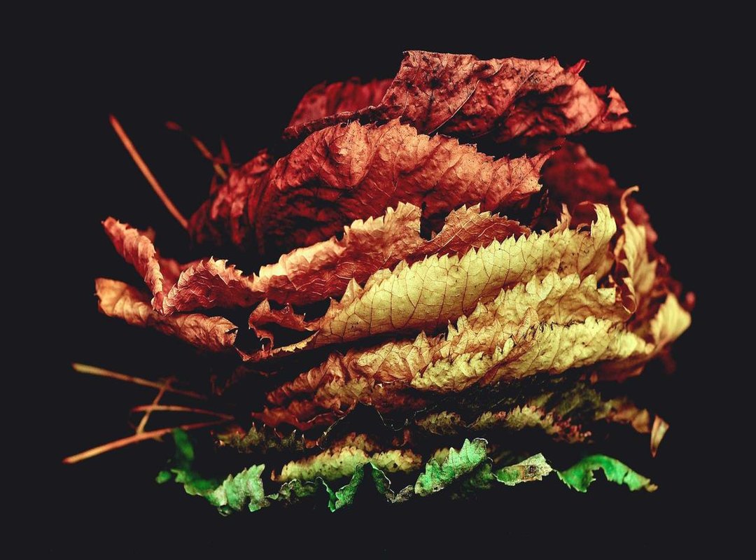 Fact vs. Fiction: Investigating the Evidence