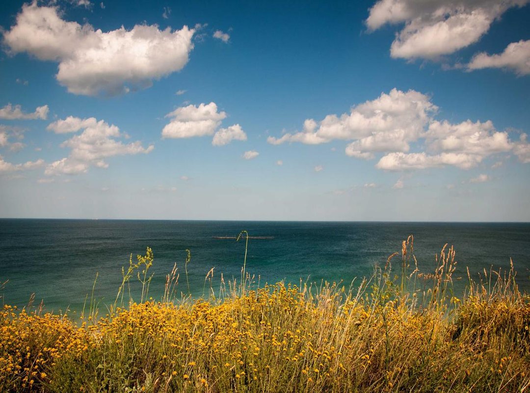 How to Use Pelisflix 0.2: A Step-by-Step Guide