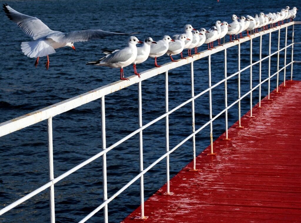 pixel art tekenen op ruitjespapier