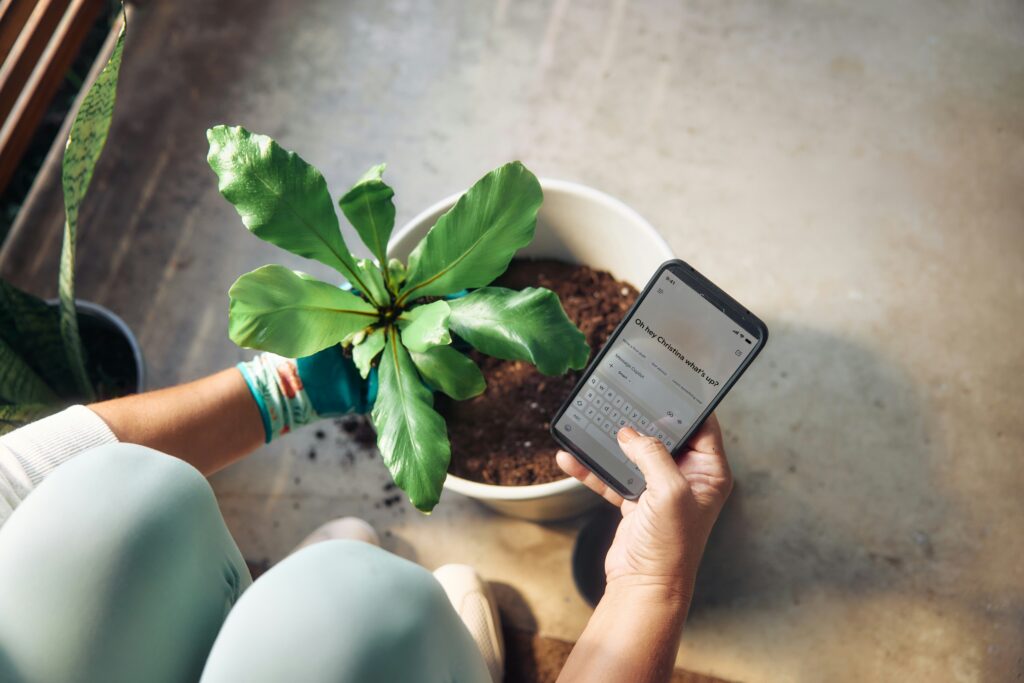 microsoft copilot o2MBk6J Iqc unsplash
